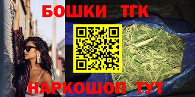 скорость Новозыбков