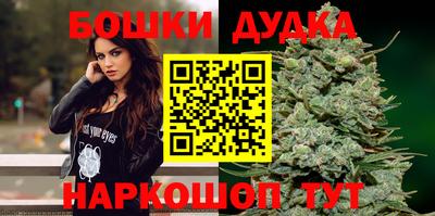 скорость Новозыбков