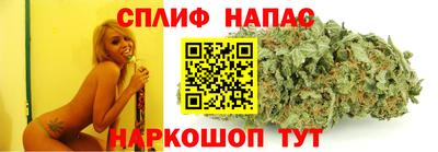 скорость Новозыбков